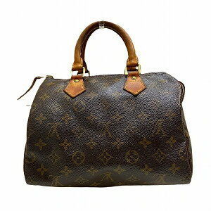 Louis Vuitton Handbag Speedy Monogram